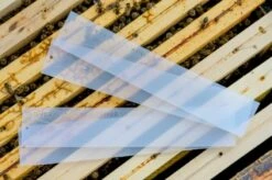 Apivar Strips: 4 Pack 9 Apivar Strips: 4 Pack -NectarJoy Sales Store AV20Strips20670x447 2