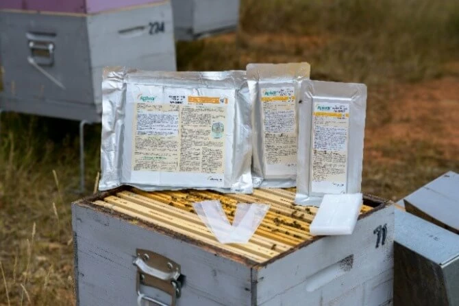 Apivar Strips: 4 Pack 5 Apivar Strips: 4 Pack - Image 3