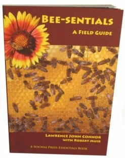 Bee-sentials: A Field Guide