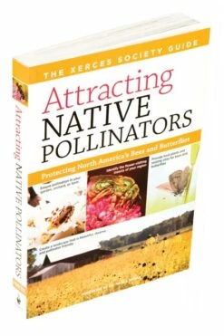Attracting Native Pollinators