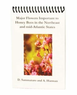 Major Flowers In The Northeast