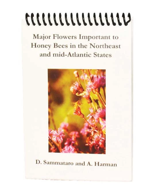 Major Flowers In The Northeast 3 Major Flowers In The Northeast