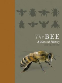 The Bee: A Natural History