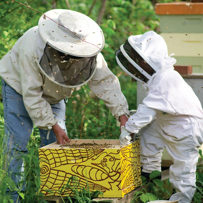 Online Core Bee Course 3 Online Core Bee Course