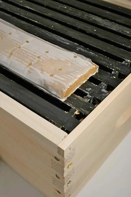 Case Of 10 Global Patties 3 Case Of 10 Global Patties