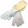 Deluxe Non-Vent Leather Glove -NectarJoy Sales Store lg1 l