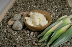 1.7 Lb. Palm Base Oil