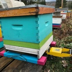 Hivetronics Hive Scale -NectarJoy Sales Store phs2 2 l