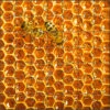 Teaser Honeycomb Puzzle 4.4" 2 Teaser Honeycomb Puzzle 4.4" -NectarJoy Sales Store puzzle1 l