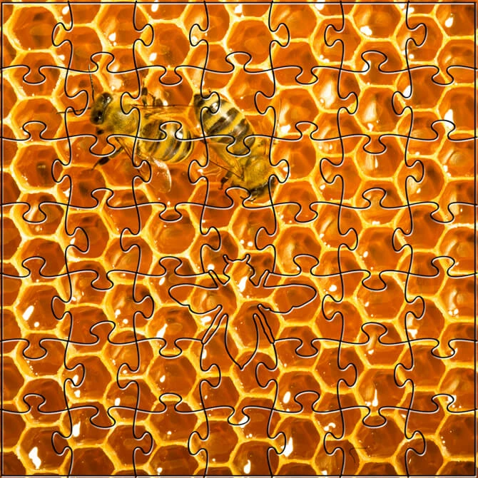 Teaser Honeycomb Puzzle 4.4" 3 Teaser Honeycomb Puzzle 4.4"