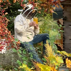 Seasons Of Beekeeping Courses